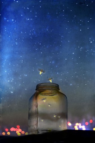 Firefly Jar