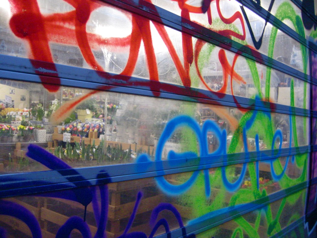 Graffiti and Tulips