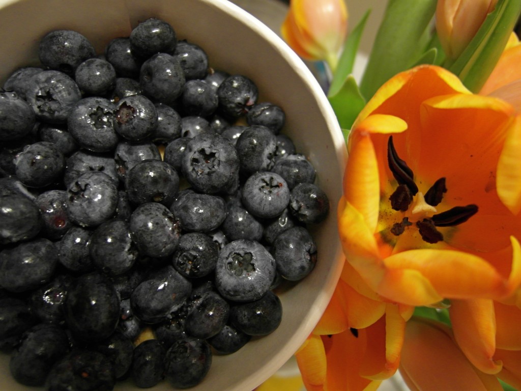 Blueberries and Orange Tulips