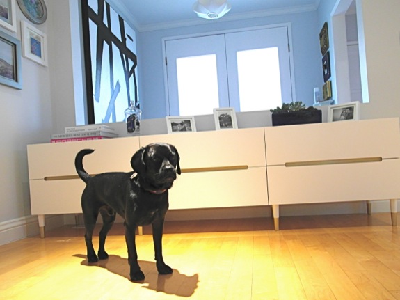 He couldn't resist popping into the frame when I was trying to photograph our latest Ikea-hack credenza